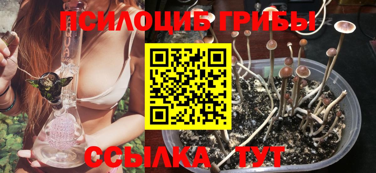 Псилоцибиновые грибы GOLDEN TEACHER  Псилоцибиновые грибы ЛСД  Вход с VPN  Краснознаменск 
